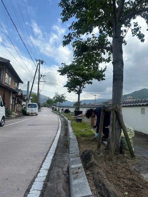 「しらかべの道」の清掃を行いました